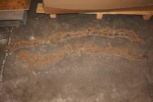 lot 134 image: Tire Chains