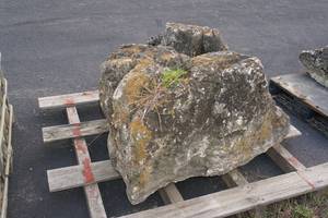 lot 351 image: Landscape Boulder