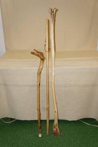 3 Walking Sticks