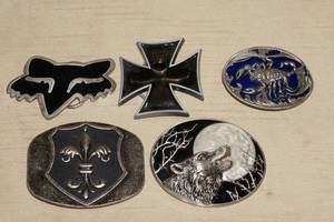 5 Belt Buckles - Fox