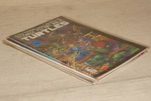 Obscure Comics - Original Ninja Turtles