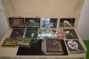 Zenith Large Format and Regular Baseball Cards
