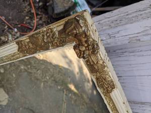 lot 24 image: Beautiful Victorian style mirror