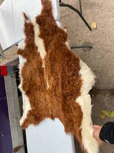 lot 405 image: Real Cow Raw Hide