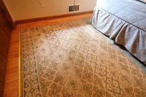 lot 166 image: Elegant Area Rug