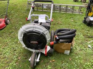 lot 126 image: Little Wonder C5  Walking leaf Blower