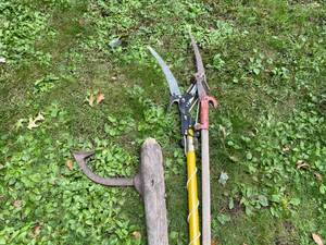 lot 151 image: Pruners