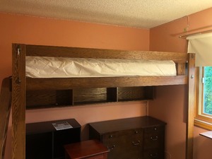 lot 170 image: AMAZING Lofted Bed