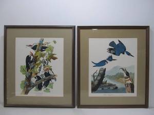 lot 20 image: Pair of Vintage Framed Audubon Bird Prints