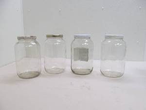 gallon jars