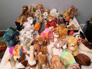 lot 79 image: FULL SIZE BEANIES IN GREAT CONDITION 2
