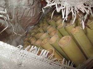 lot 954 image: Bamboo Fence...