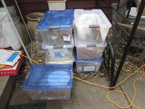 lot 990 image: Large Lot Of China...