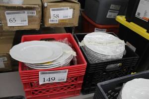 Lot of (25) Dinner Plates 10-12