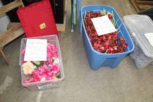 Lot of (Over 360) Pink Flowers, RedWhite Flowers