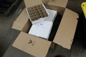 Lot of (200) Spare Caf Light Bulbs and Ground Stakes
