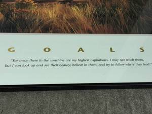 lot 203 image: Goals Framed Art