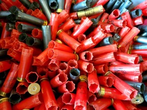 lot 249 image: Lot of Empty Shotgun Shells