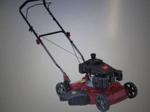 truett 20 150cc Push Gas Lawn Mowe...
