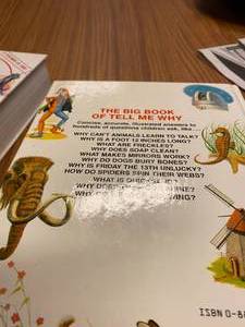 lot 31 image: The Big Book of WHY Volumes 1 and 2