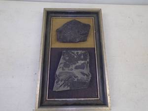 lot 96 image: Framed Marlit Fossil Rocks