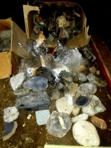 Rock Collection - Fossils agate & more