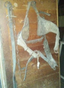 Horse leathers, Back Band & 3 bits heavy gauge leather