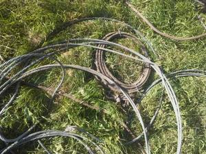 Heavy gauge cable, several,  hooks great.