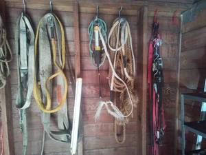 lot 55 image: Come-a-Long, Ropes, Straps and more.
