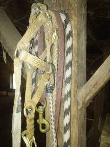 lot 90 image: Equine Lot  Lead Rope, Head Stalls Brush and more.