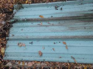 lot 150 image: Corrugated Metal Roofing Sheets (16)