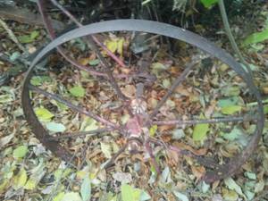 lot 154 image: Wheels and Frame for Antique Wagon.