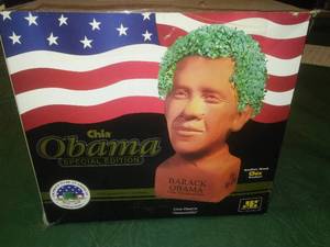 lot 210 image: Chia Pet Barack Obama. Gag Gift