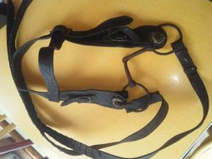 lot 393 image: Equine Bridle, Bit,  6 ft. Split Reins.