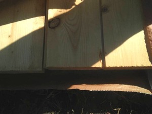 lot 359 image: 1 x 6 x 1 in. (14) full dimension tongue & groove