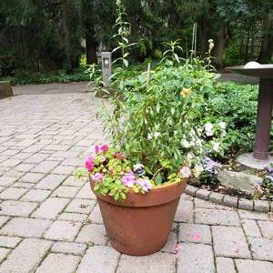 lot 41 image: Large Pot Planter
