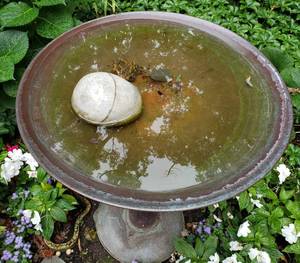 lot 42 image: Charming Copper Pedestal Bird Bath