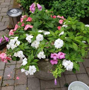 lot 43 image: Heavy Tall Concrete Planter