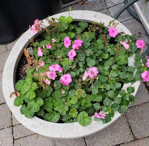 lot 44 image: Heavy Concrete Planter
