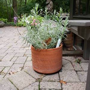 lot 35 image: Detailed Terra Cotta Planter