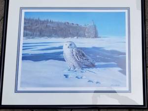 lot 82 image: Bruce Miller Signed Snowy Owl Framed Print, Signed and Numbered