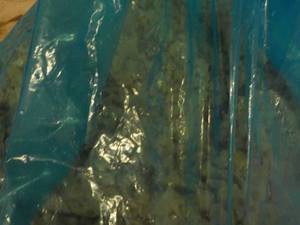 lot 109 image: 30 lb. Bag Frozen Fajita Frozen Chi...