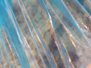lot 110 image: 30 lb. Bag Frozen Fajita Frozen Chi...