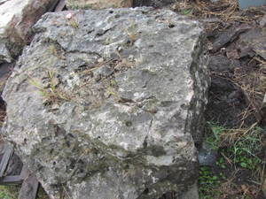 lot 88 image: Holy boulder, 48x48x14...