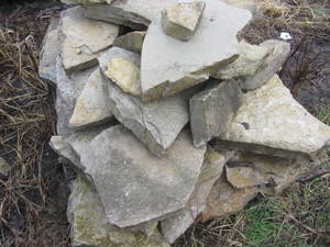lot 89 image: Fondulac limestone...