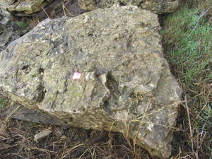 lot 90 image: Holy boulder, 64x44x12-14H...