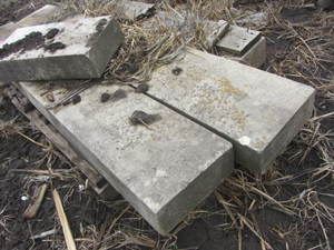 lot 232 image: Limestone, 60x8.5x6...