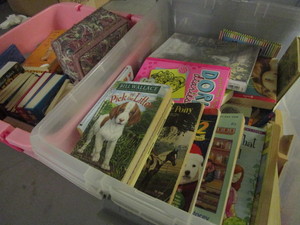 lot 161 image: YOUTH BOOKS, POPULAR TITLES