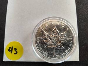 2013 .9999 1 Oz. Silver Canada Maple Leaf