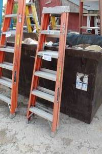 lot 54 image: Louisville Step Ladder 6
